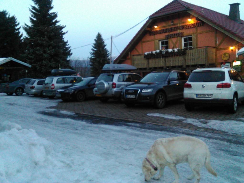Restaurant Pension-Anton Jáchymov Exteriör bild